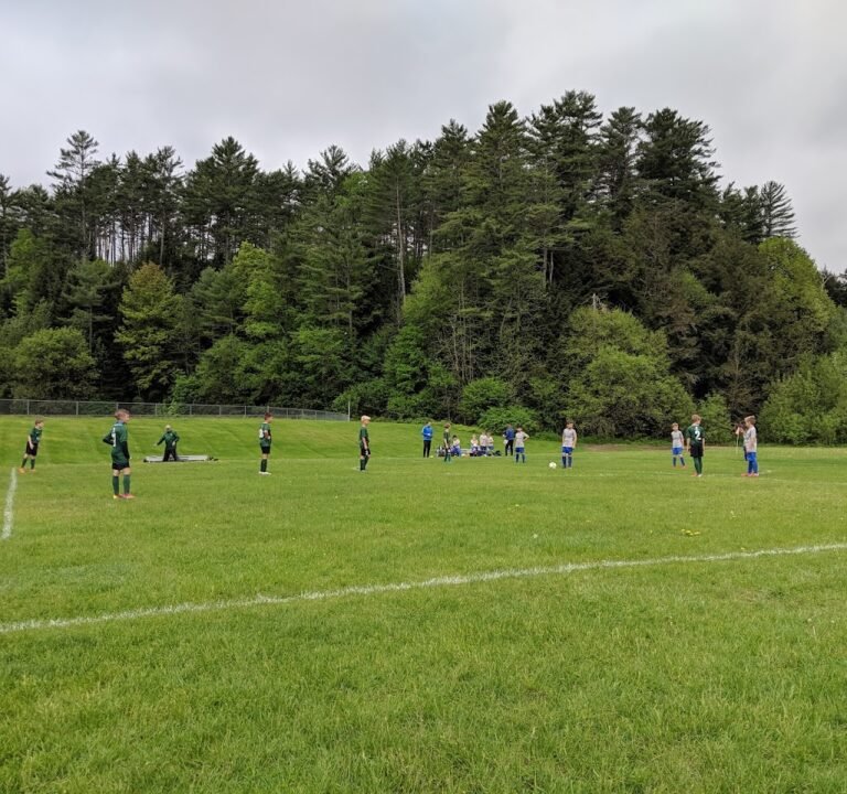 Soccer Field image 2