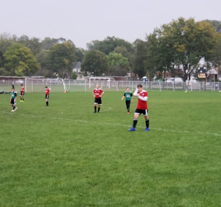 Soccer Field image 2