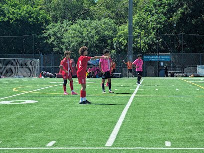 Soccer Field image 1