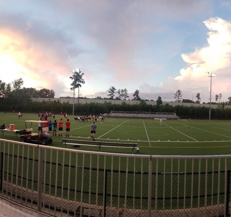 Soccer Field image 2