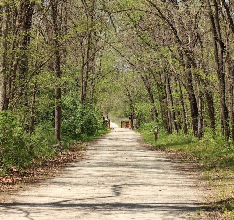 Soccer Field image 2