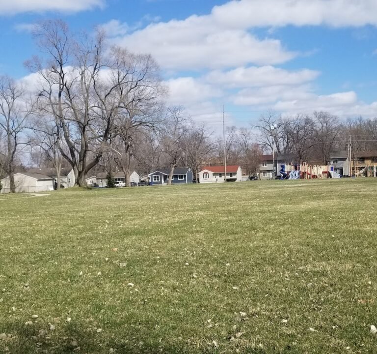 Soccer Field image 2