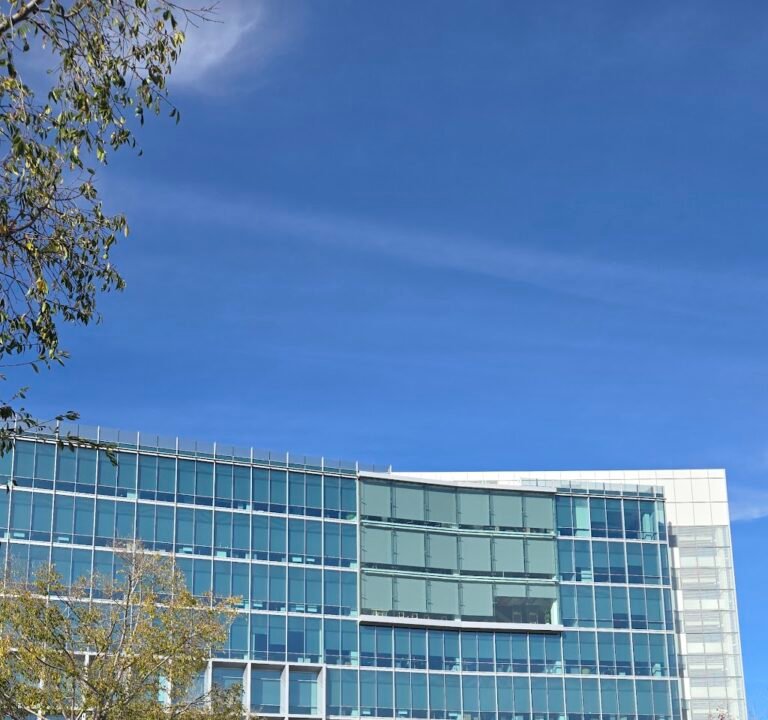 Soccer Field image 2