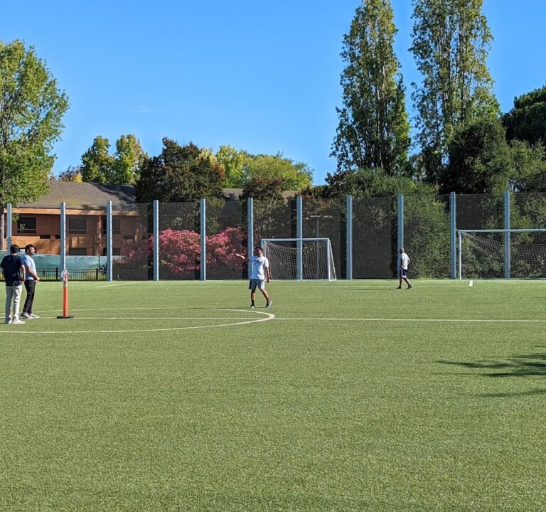 Soccer Field image 3
