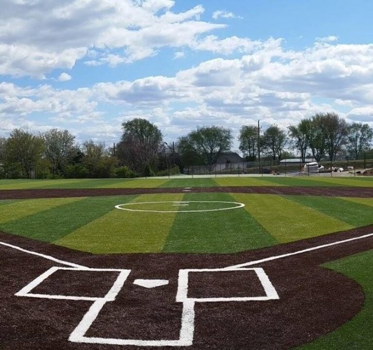 Soccer Field image 2