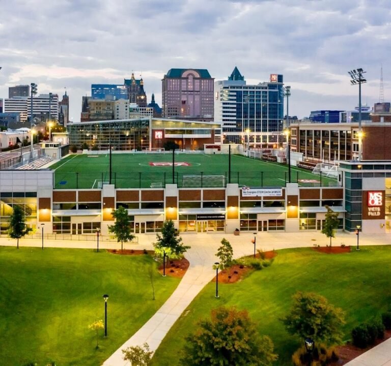 Soccer Field image 2