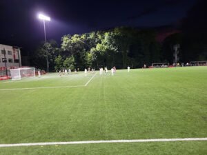Soccer Field image 1