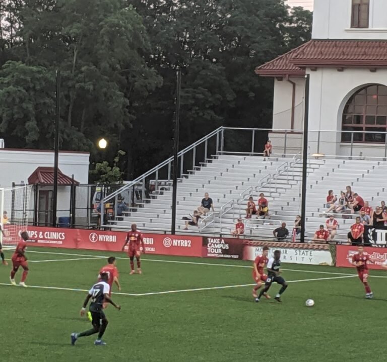 Soccer Field image 3