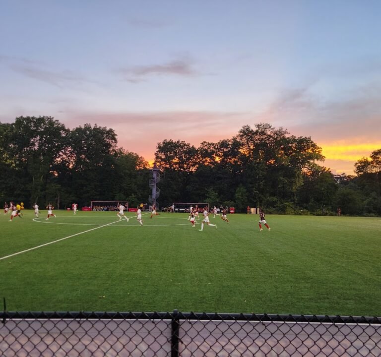 Soccer Field image 2