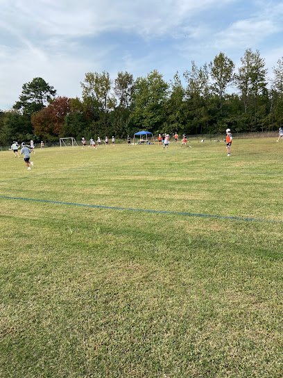 Soccer Field image 1