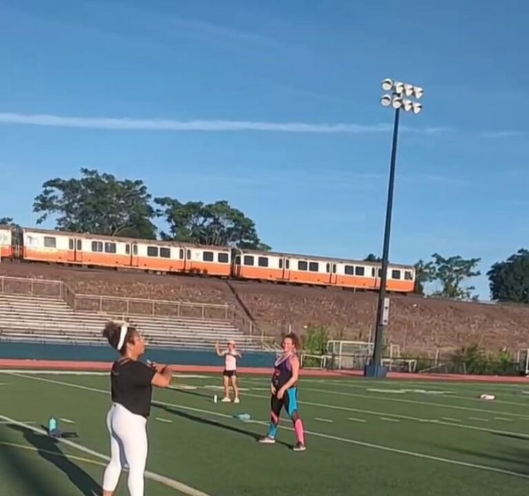 Soccer Field image 3