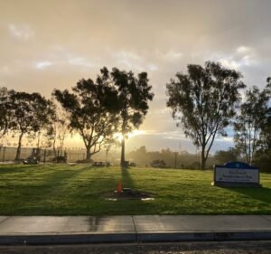 Soccer Field image 3