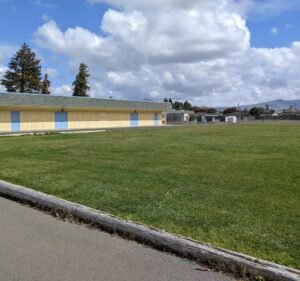 Soccer Field image 2