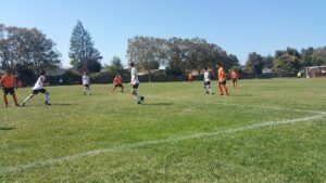 Soccer Field image 1
