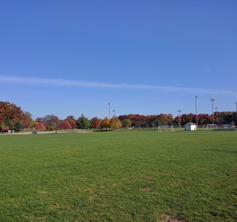 Soccer Field image 2