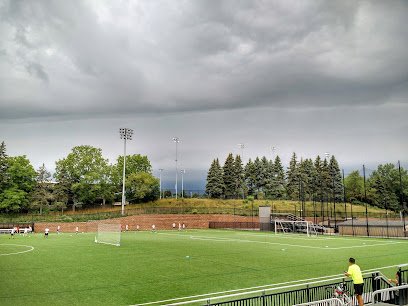 Soccer Field image 1