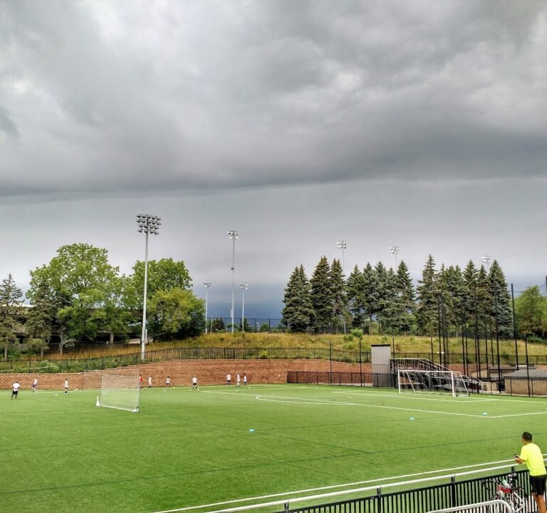 Soccer Field image 2