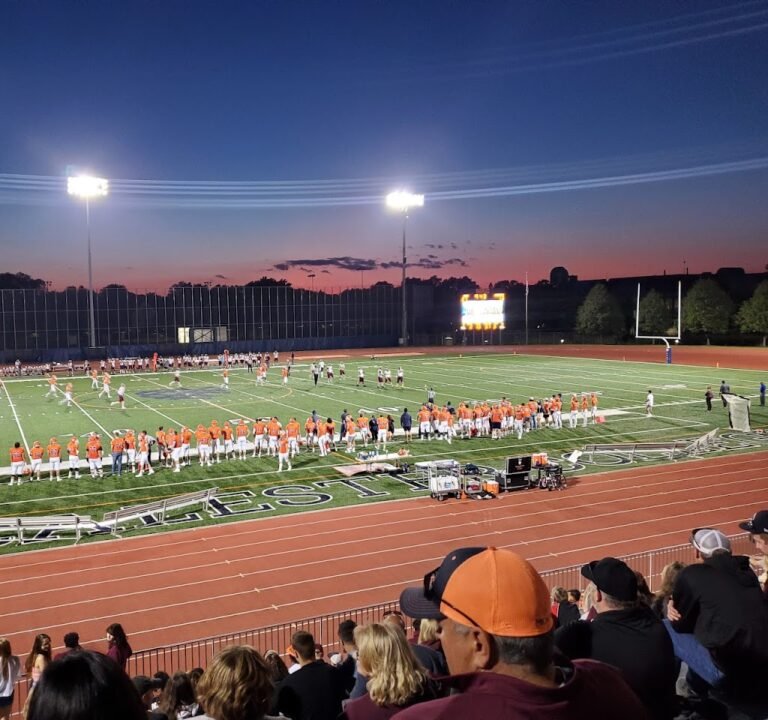 Soccer Field image 2