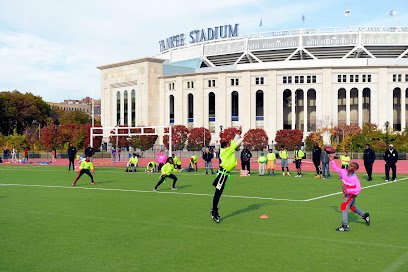 Soccer Field image 1