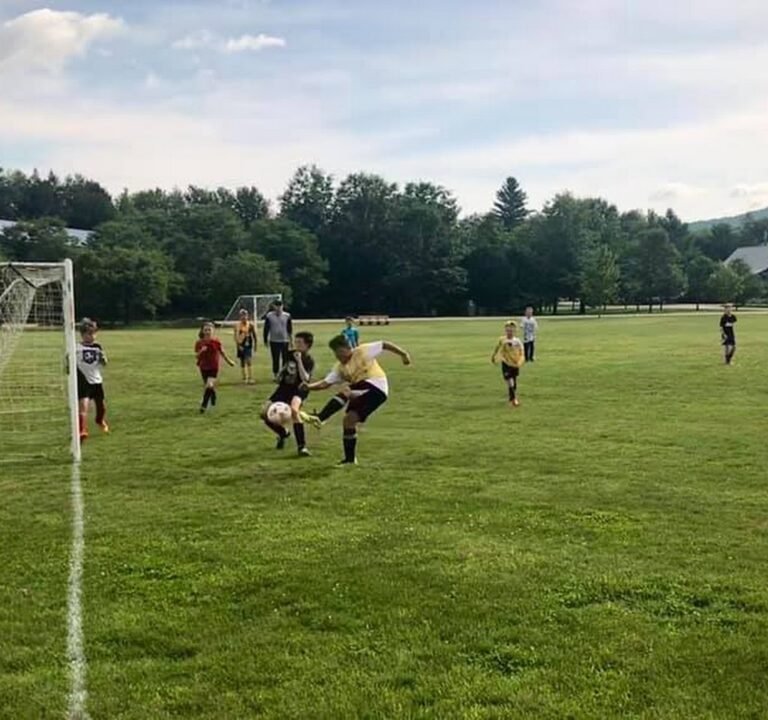 Soccer Field image 3