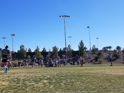 Soccer Field image 1