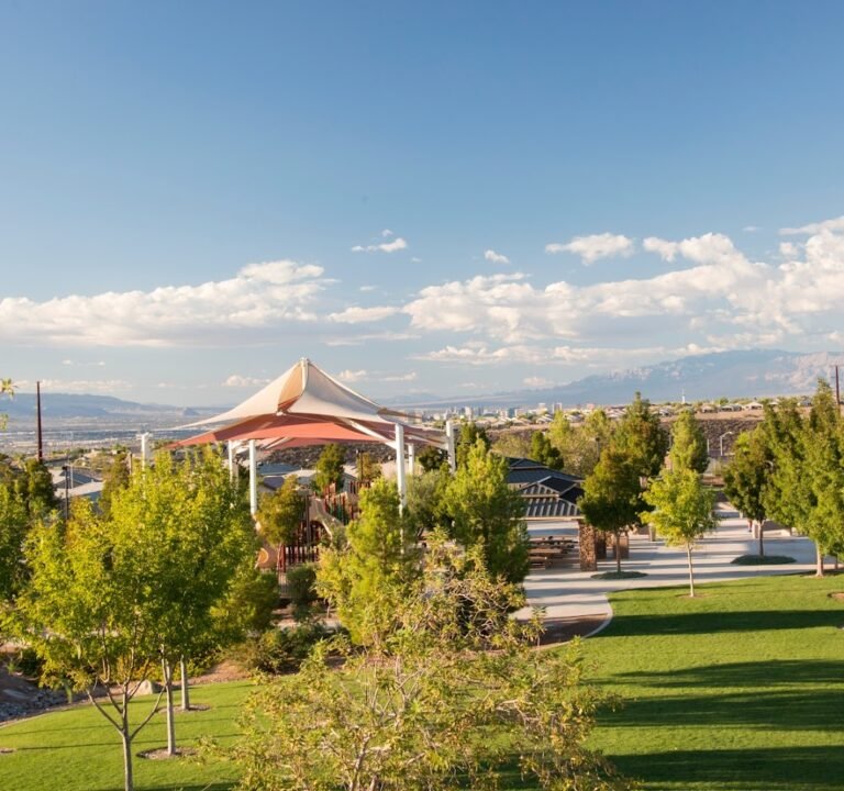 Soccer Field image 2