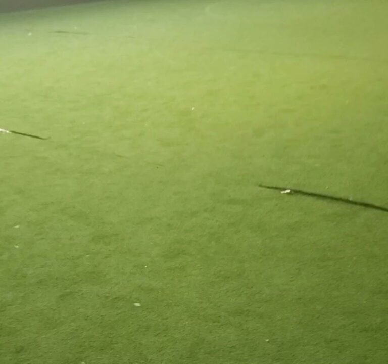 Soccer Field image 4