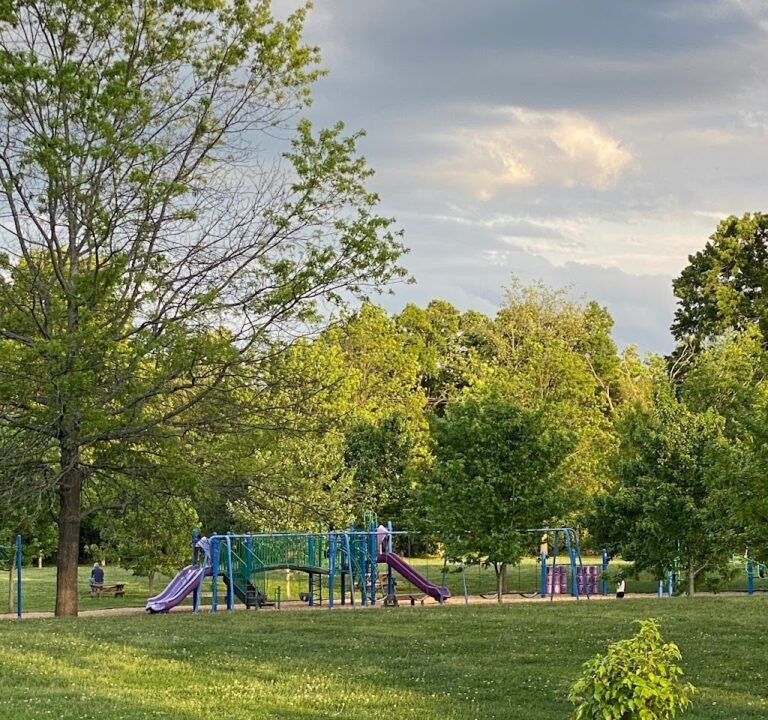Soccer Field image 2