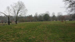 Soccer Field image 1