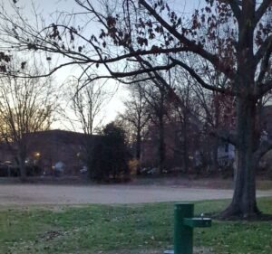 Soccer Field image 2