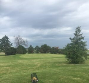 Soccer Field image 2