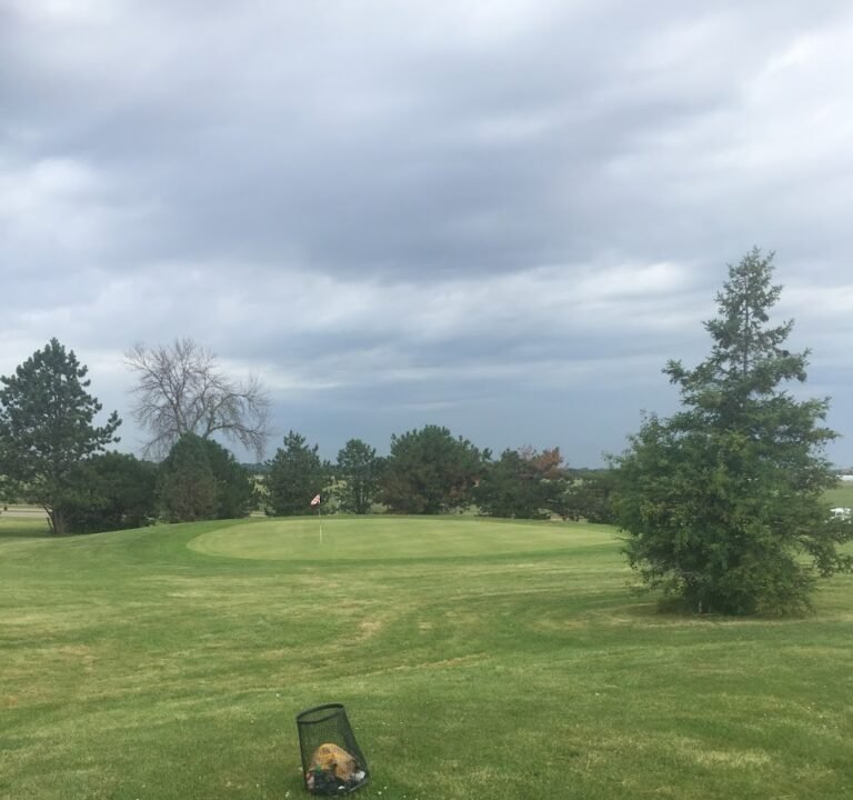 Soccer Field image 2