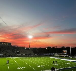 Soccer Field image 2