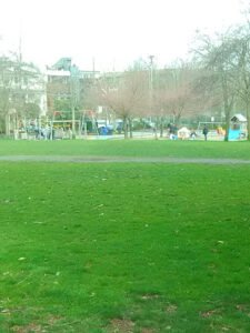 Soccer Field image 1