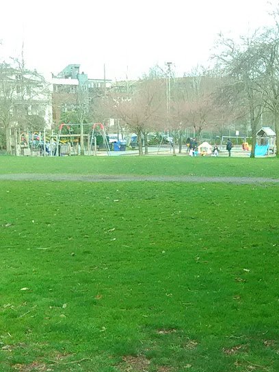 Soccer Field image 1