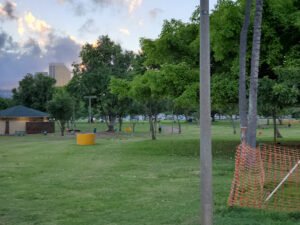 Soccer Field image 1