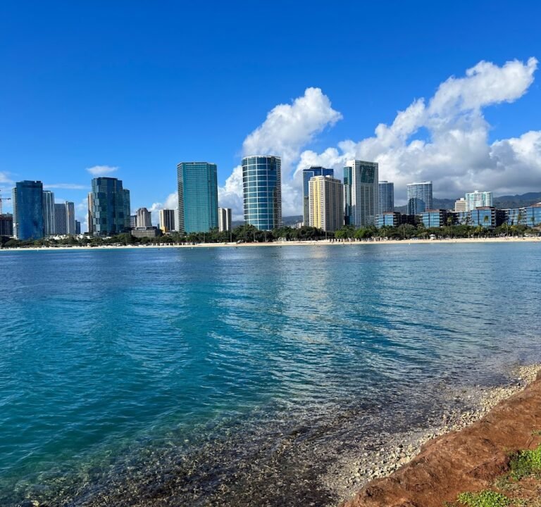 Soccer Field image 2