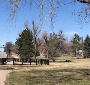 Soccer Field image 2