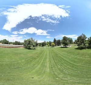 Soccer Field image 3