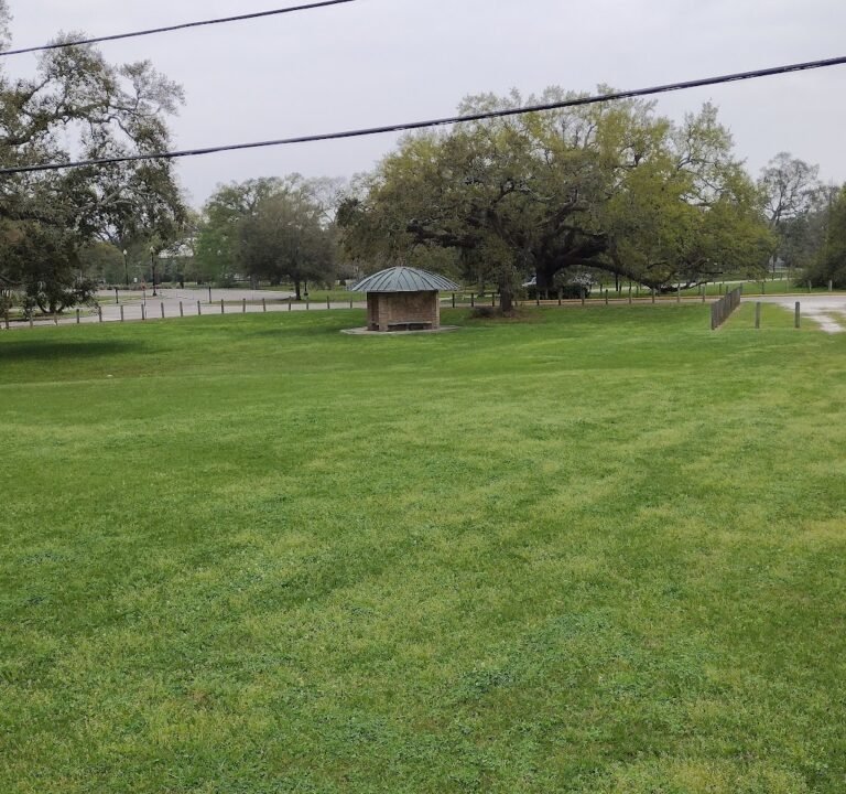 Soccer Field image 3