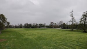 Soccer Field image 1