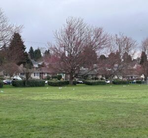 Soccer Field image 2