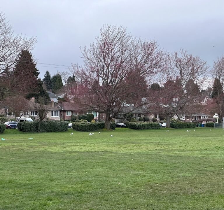 Soccer Field image 2