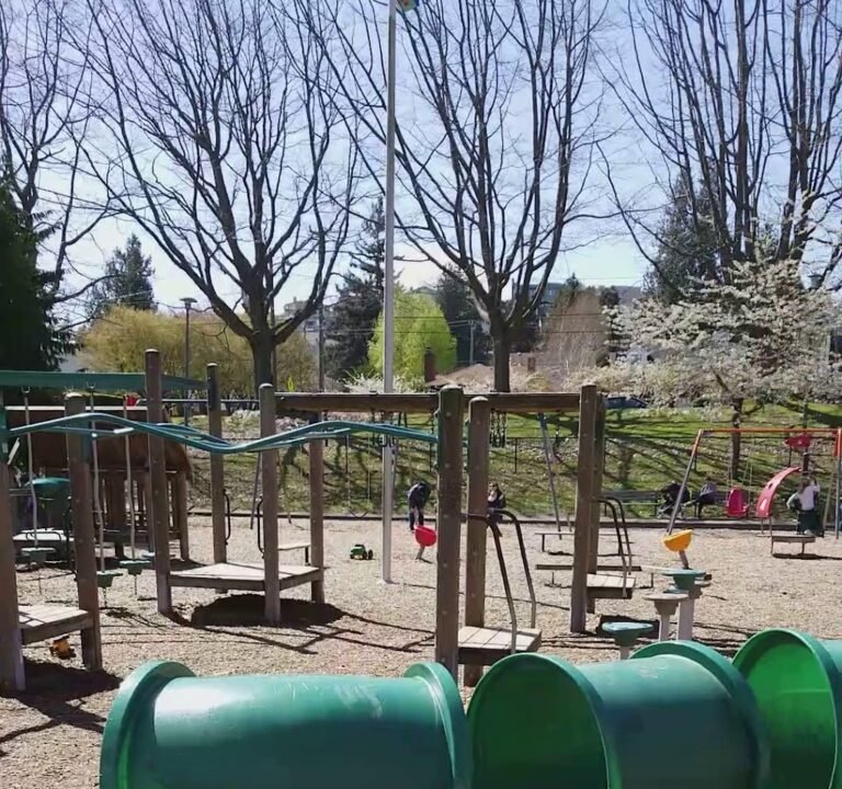 Soccer Field image 3