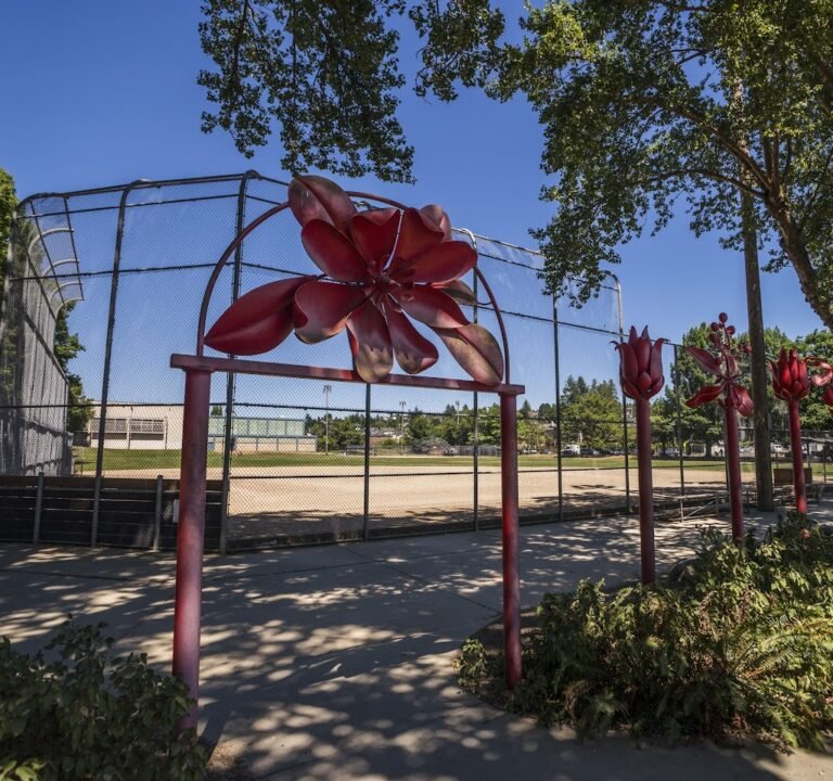 Soccer Field image 2