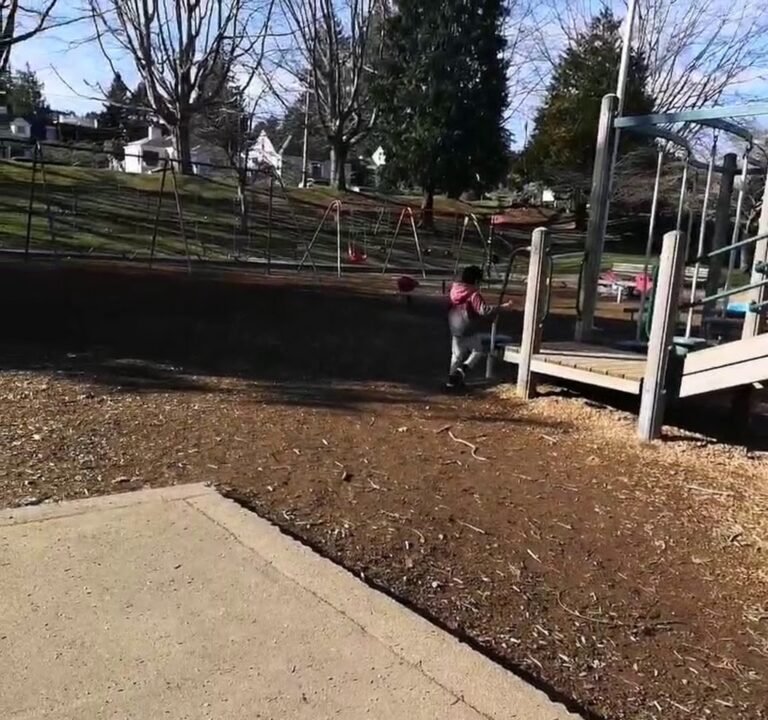 Soccer Field image 4