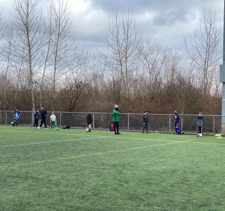 Soccer Field image 3