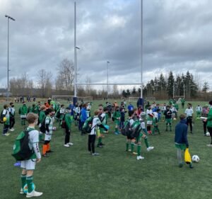 Soccer Field image 4