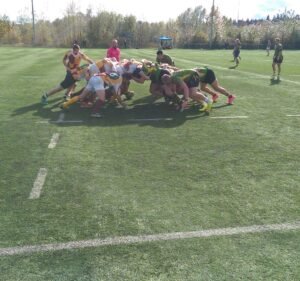 Soccer Field image 2