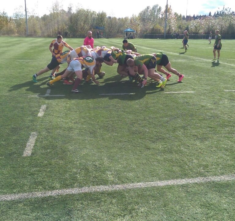 Soccer Field image 2